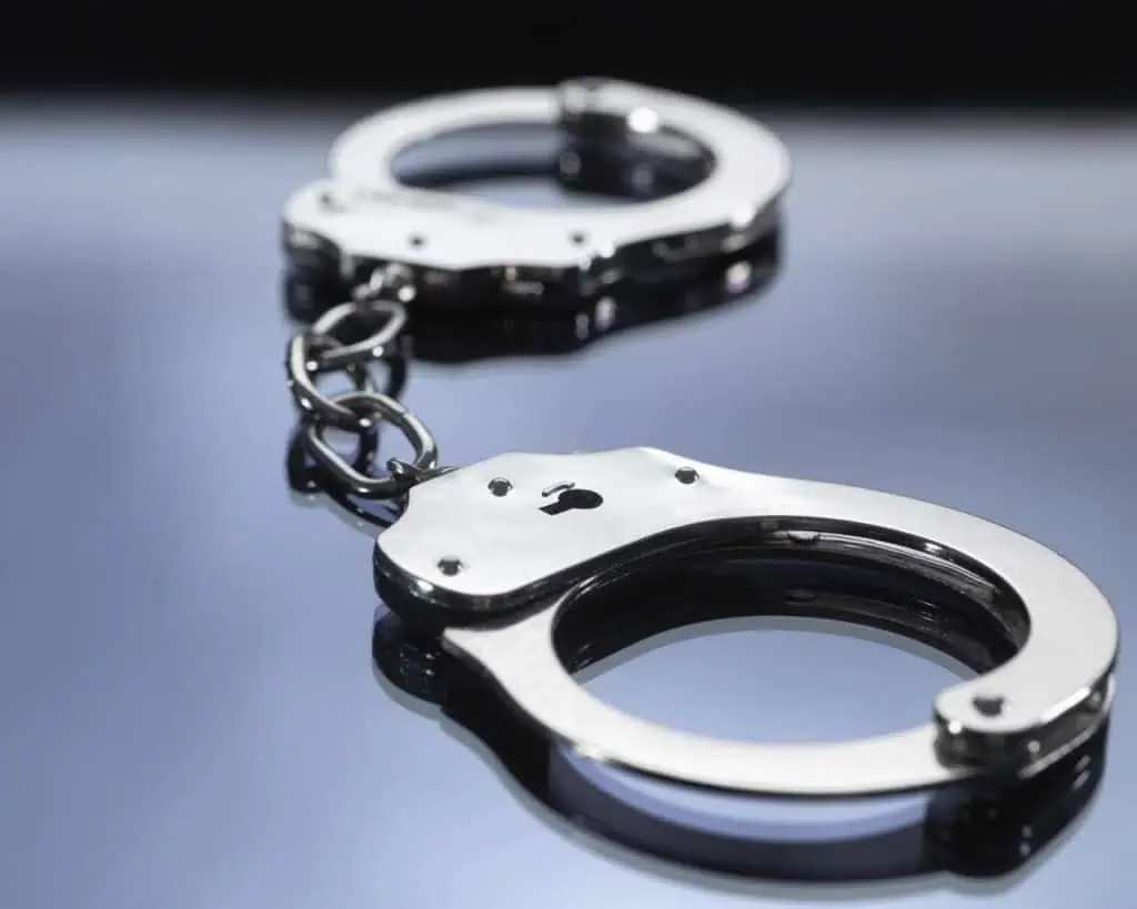 雷霆出击！皮尔区警方年末扫黑行动：商场围捕95人，追回逾8万赃物