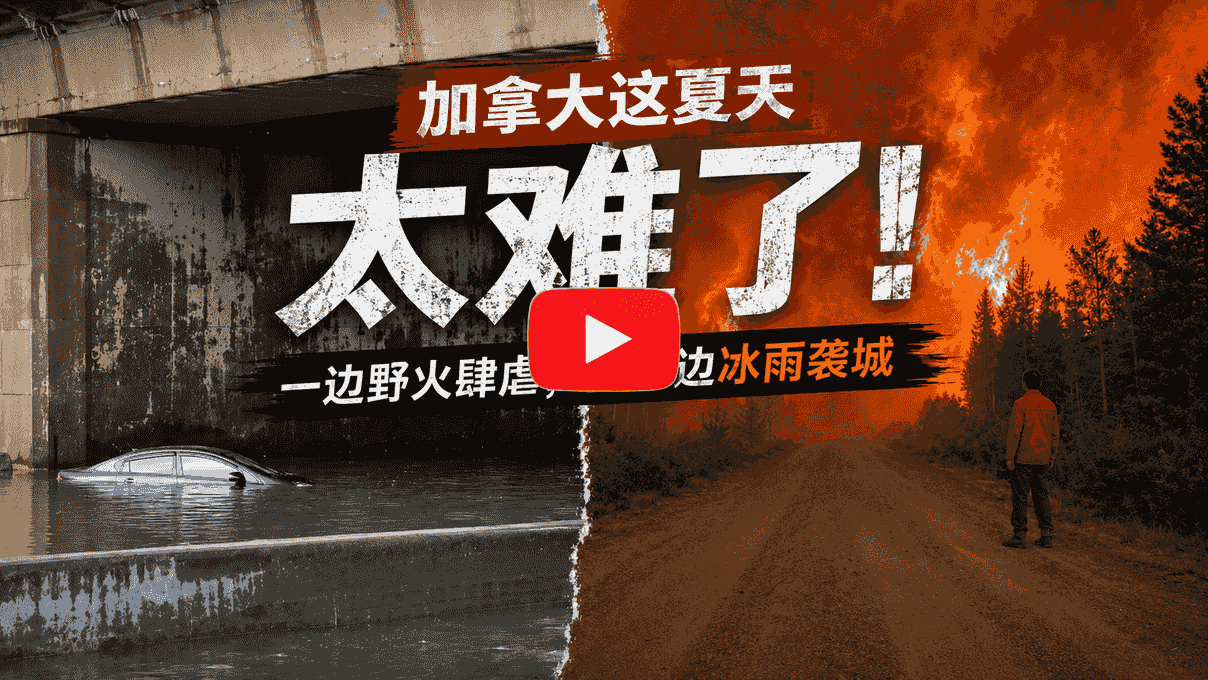 加拿大太难了，一边野火肆虐，一边暴雨冰雹突袭，多地遭极端天气